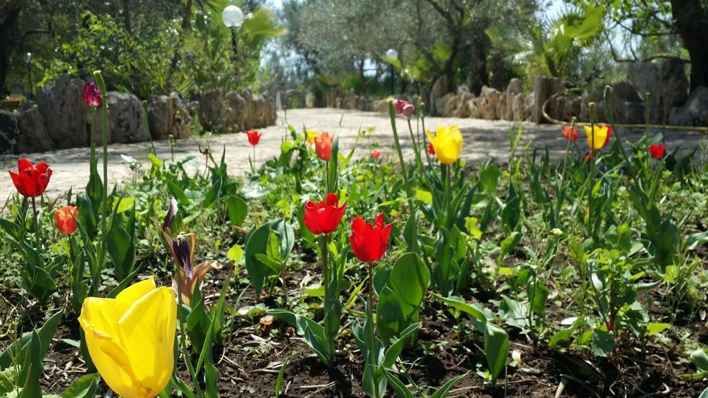 Agriturismo Tenuta La Siesta Gallipoli Ngoại thất bức ảnh