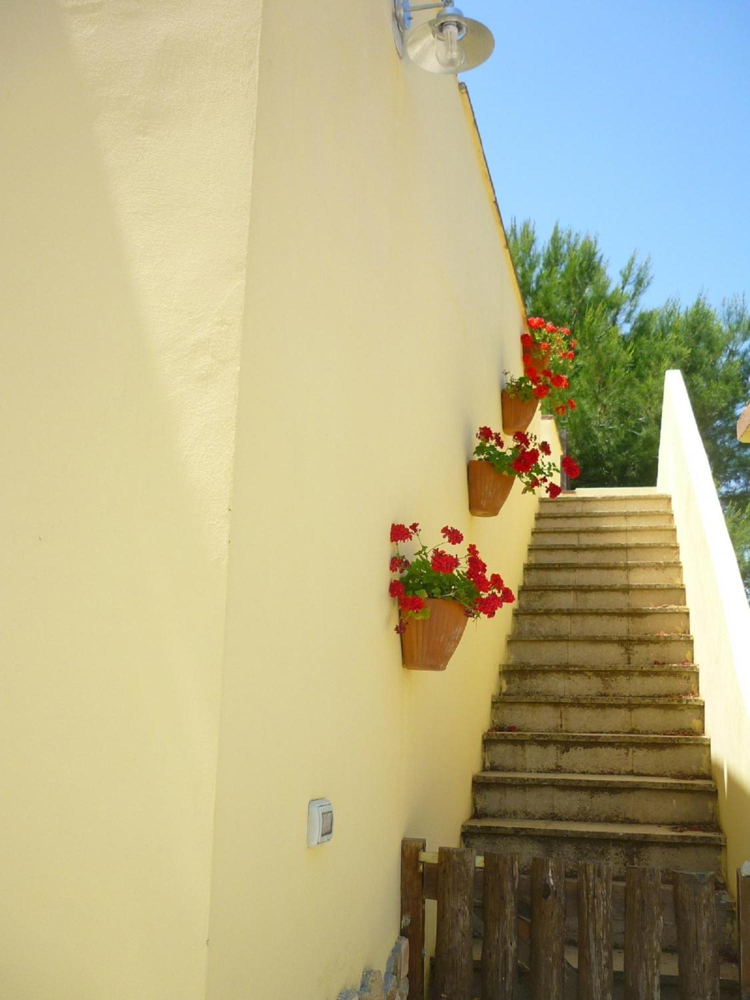 Agriturismo Tenuta La Siesta Gallipoli Ngoại thất bức ảnh