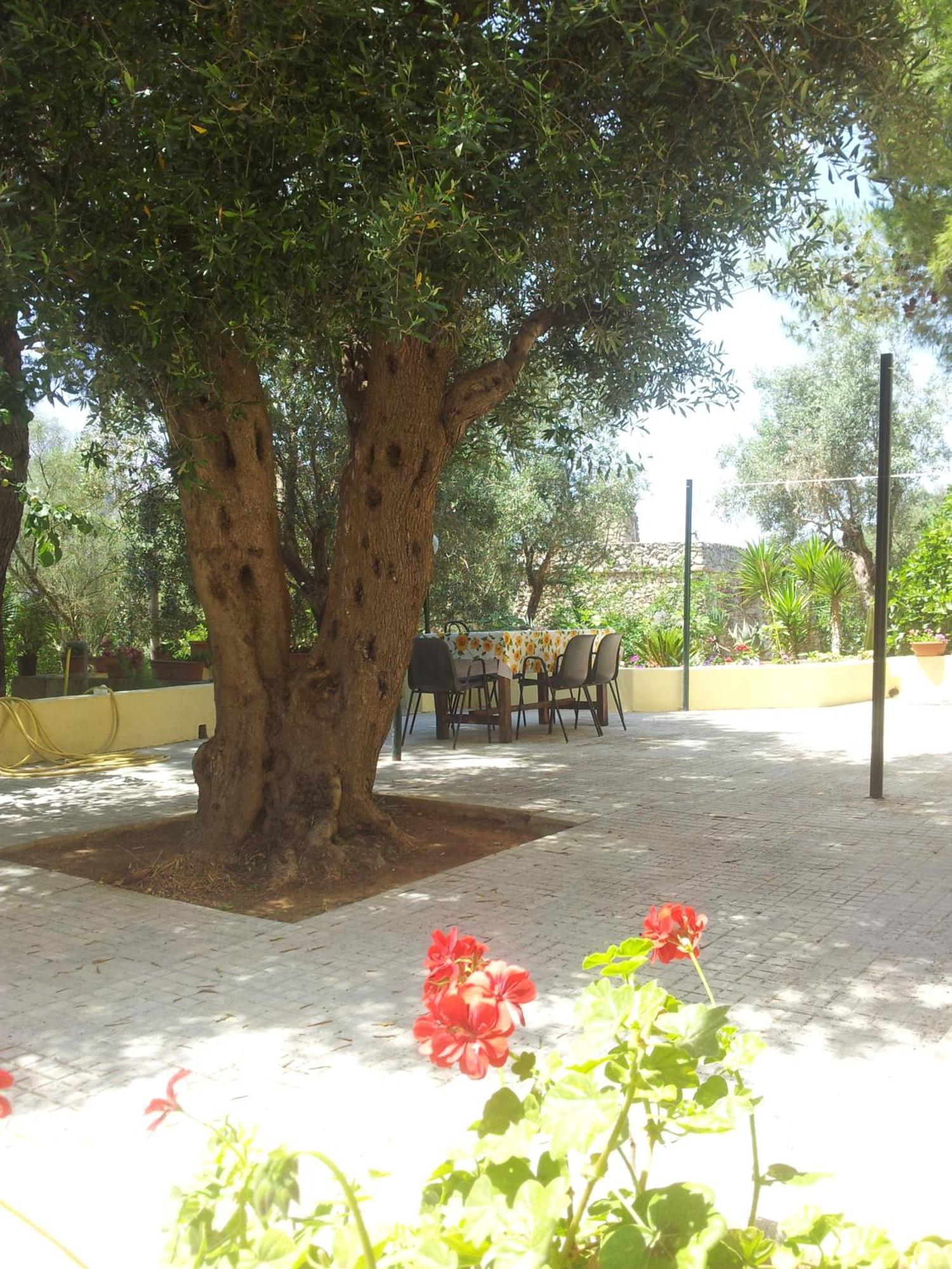 Agriturismo Tenuta La Siesta Gallipoli Ngoại thất bức ảnh