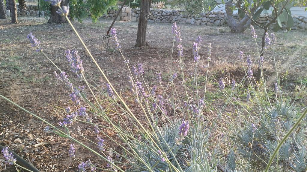 Agriturismo Tenuta La Siesta Gallipoli Ngoại thất bức ảnh