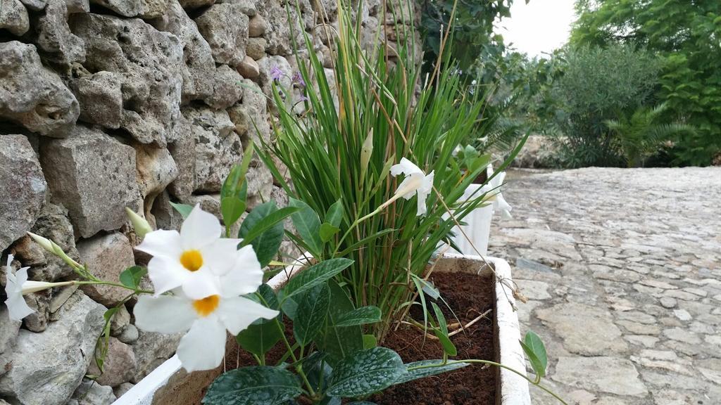 Agriturismo Tenuta La Siesta Gallipoli Ngoại thất bức ảnh
