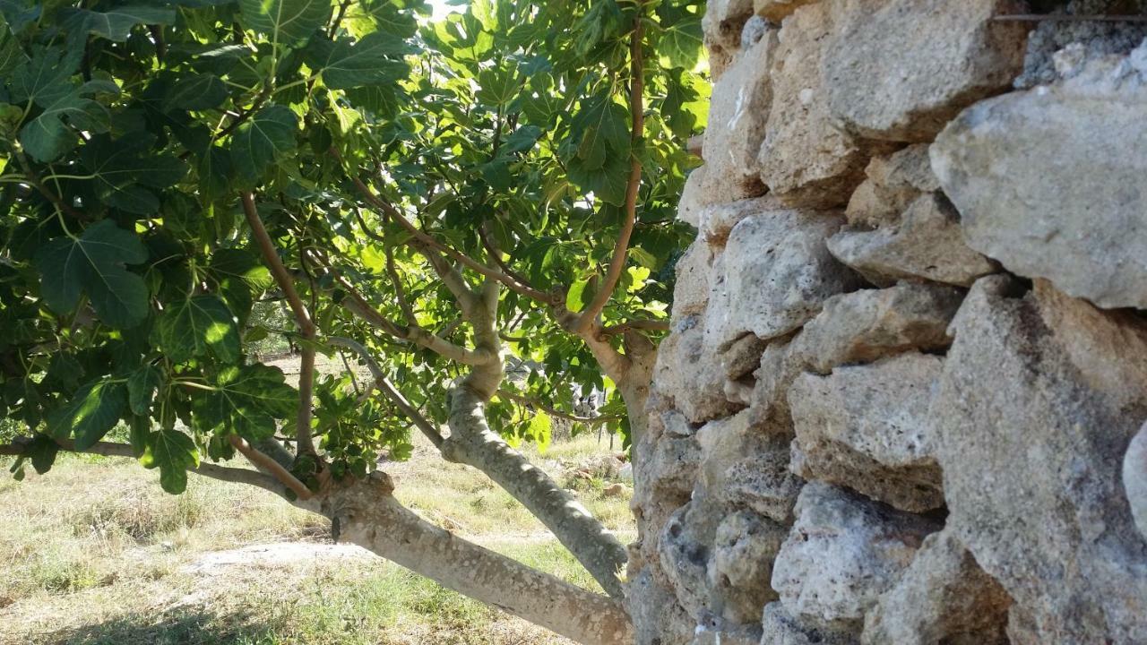 Agriturismo Tenuta La Siesta Gallipoli Ngoại thất bức ảnh