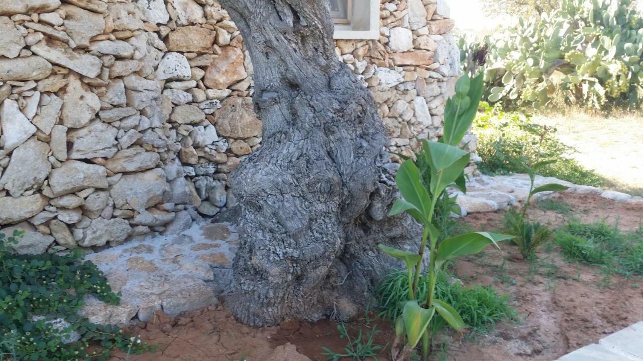 Agriturismo Tenuta La Siesta Gallipoli Ngoại thất bức ảnh