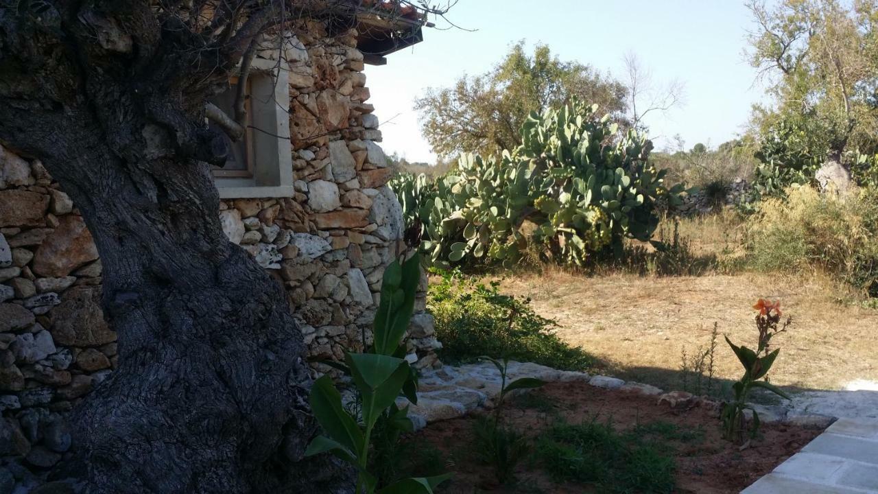 Agriturismo Tenuta La Siesta Gallipoli Ngoại thất bức ảnh